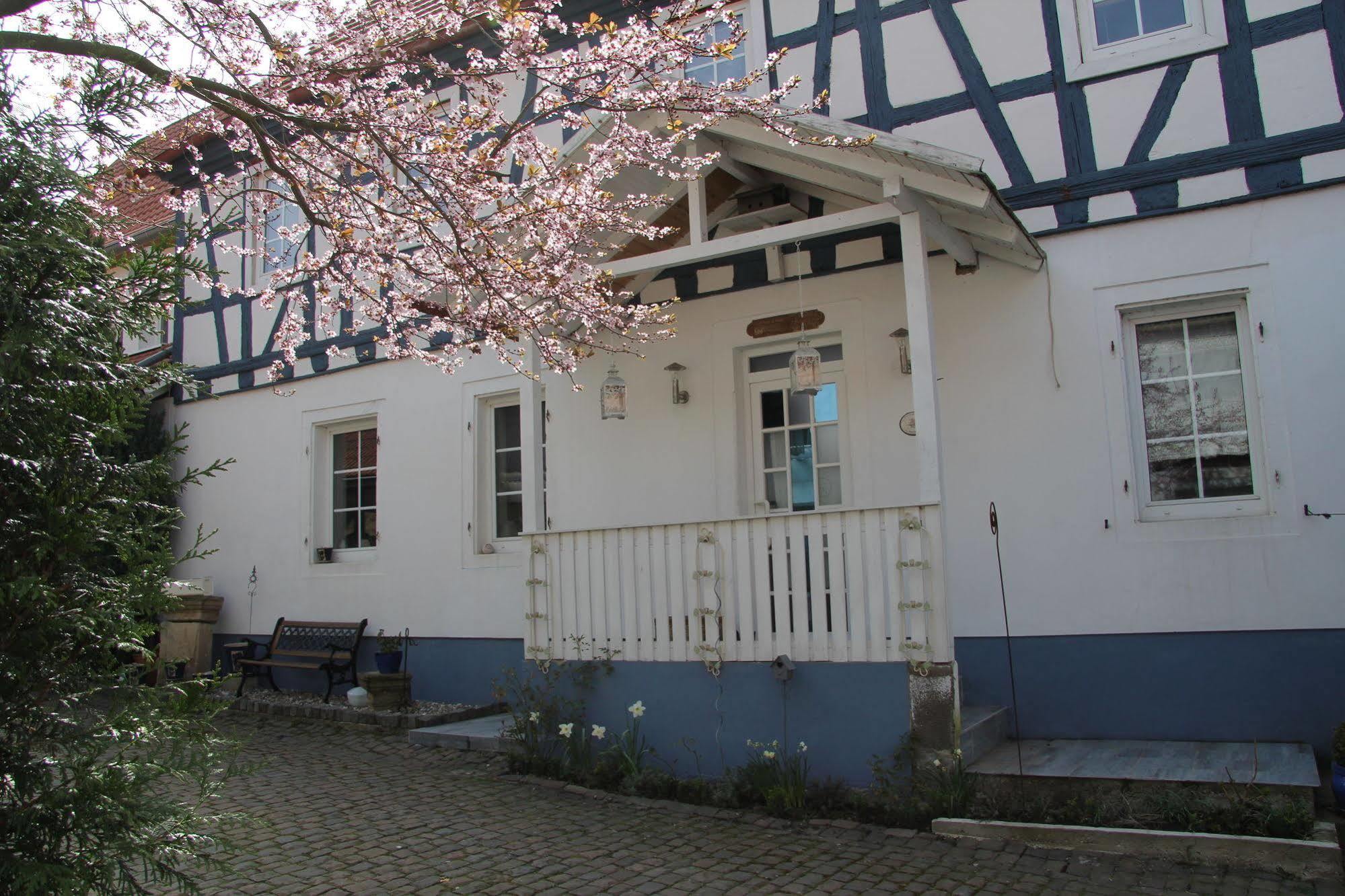 No.31 B&B Im Rosengarten Kapellen-Drusweiler Exterior foto